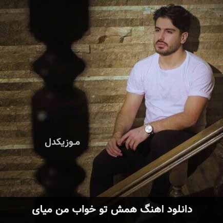 دانلود اهنگ همش تو خواب من میای سعید حسینی